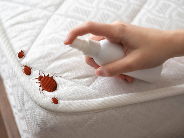 Best Residential Pest Control  in Cranston, RI